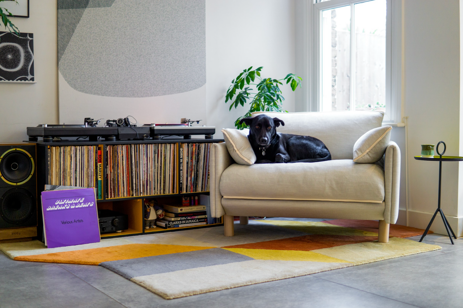 Designing a Pet‑Friendly Living Room Without Sacrificing Style
