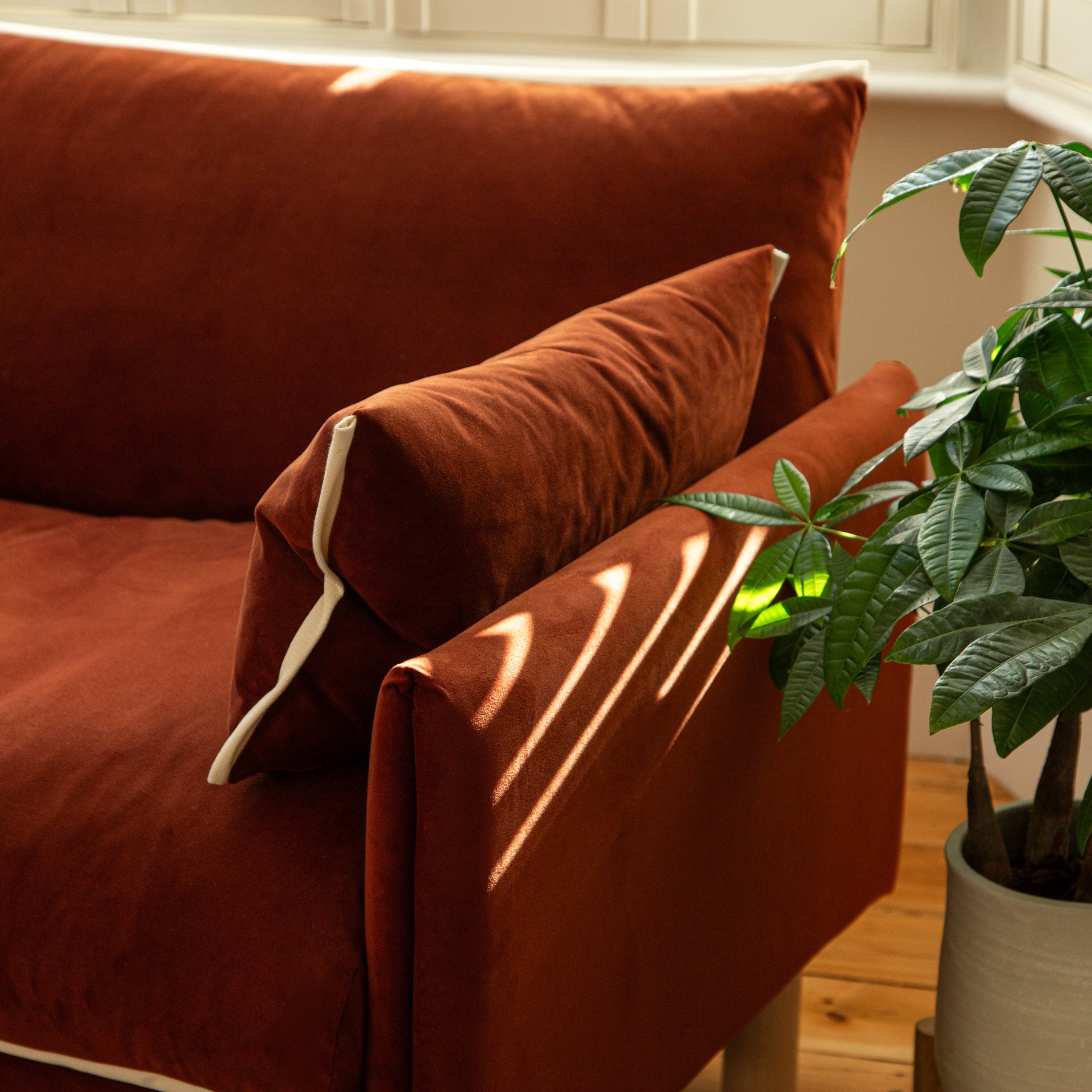 Cozy 2 Seater Sofa | Rust Velvet