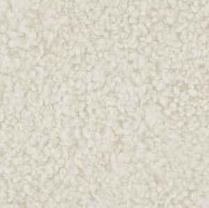 Closeup Shot of Ecru Fleece